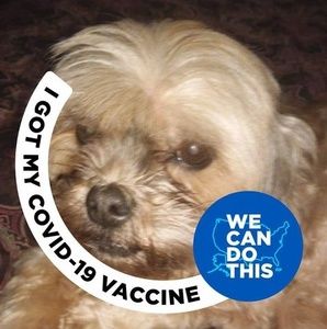 Meet your Posher, Paul